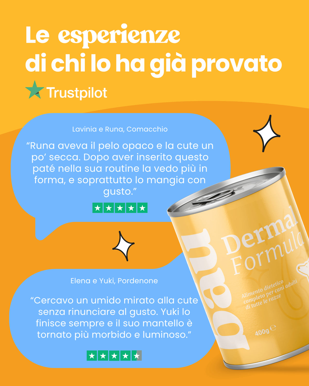 Patè Dermal Formula per cani adulti