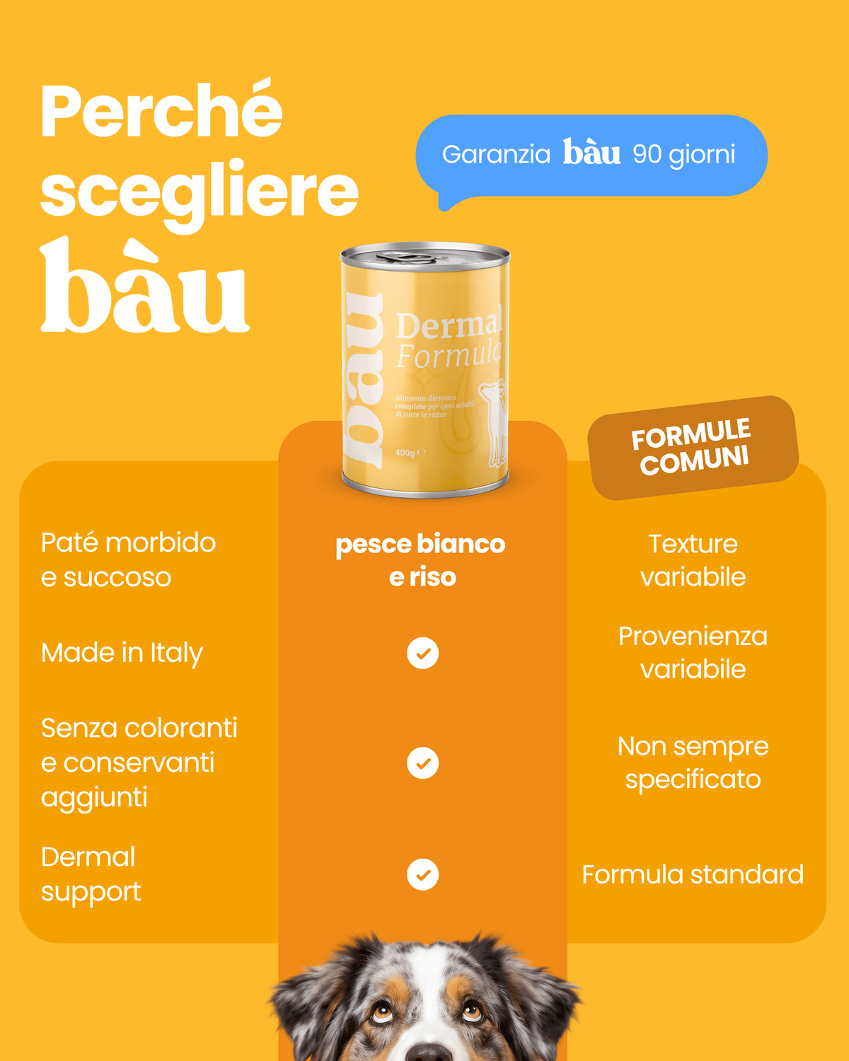 Patè Dermal Formula per cani adulti
