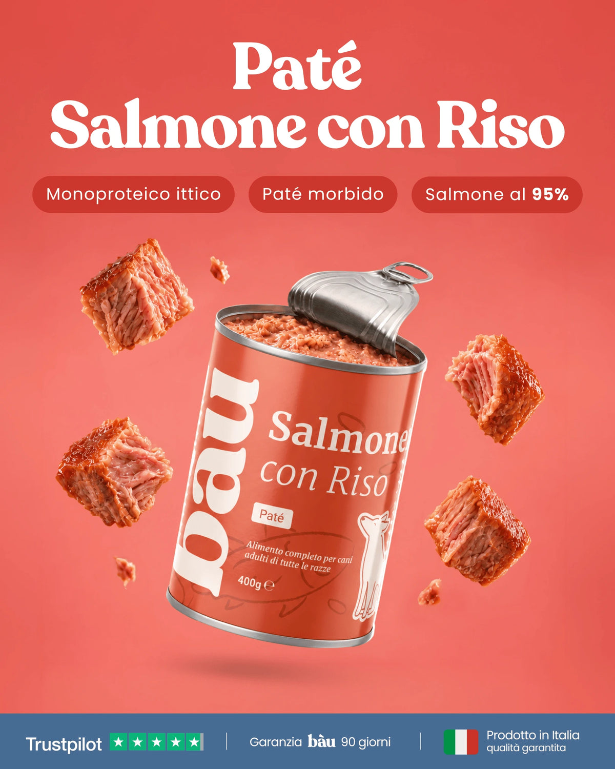 Patè al Salmone per cane adulti