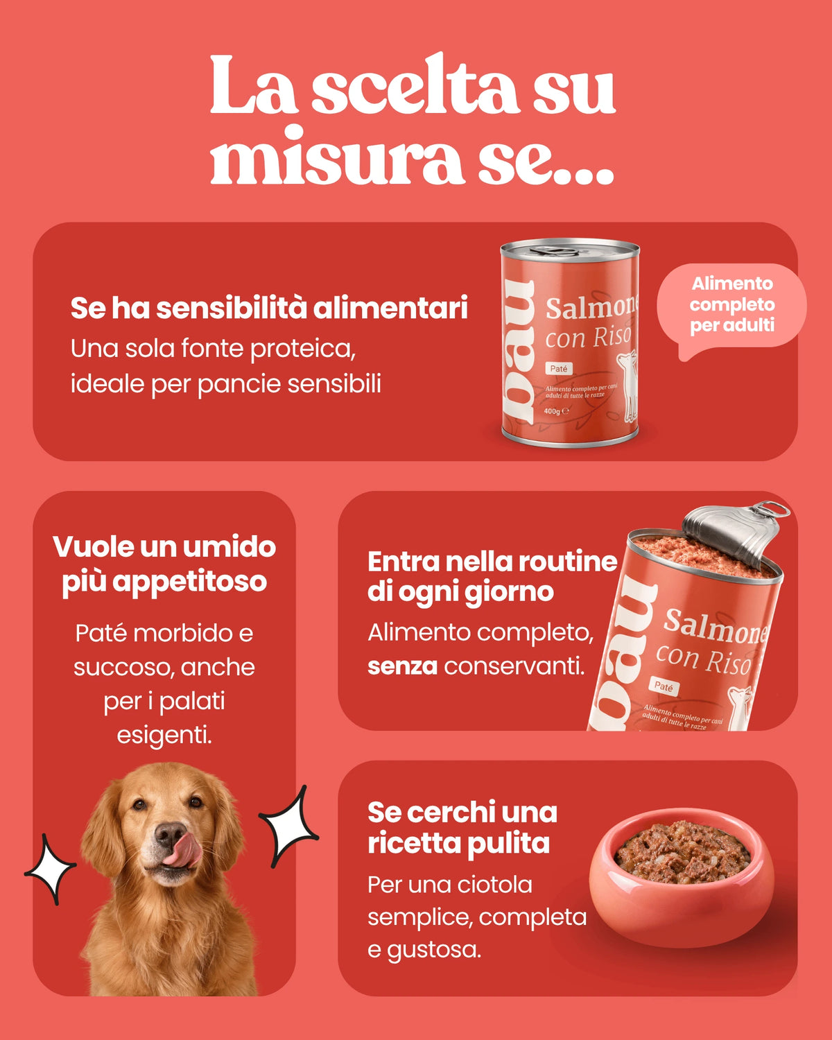 Patè al Salmone per cane adulti