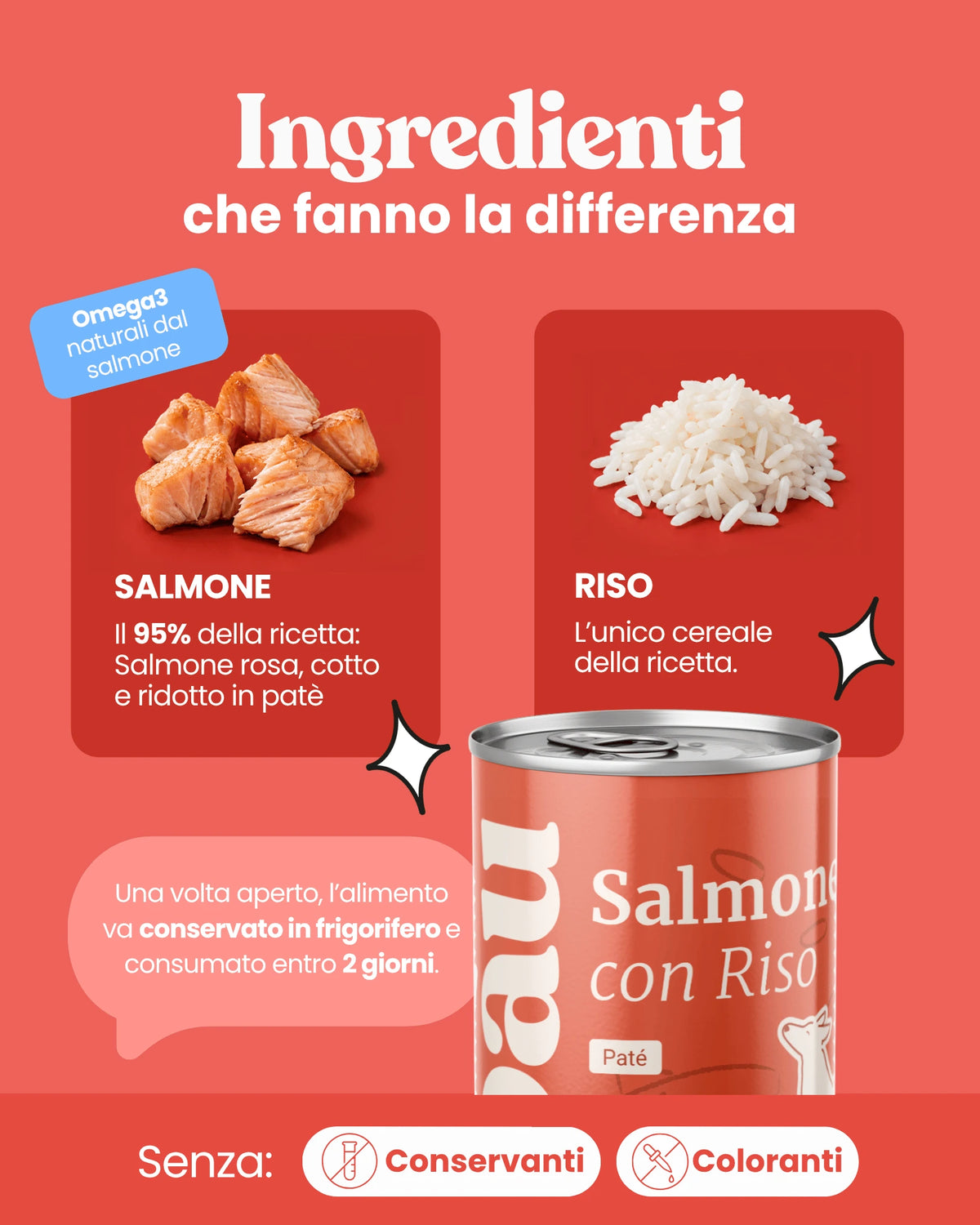 Patè al Salmone per cane adulti