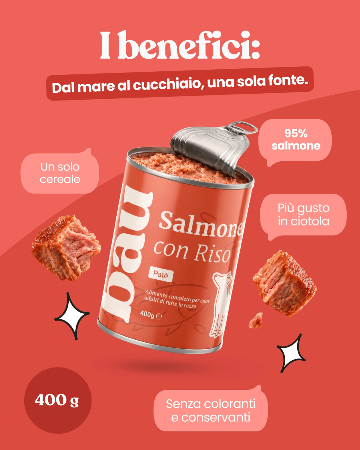 Patè al Salmone per cane adulti