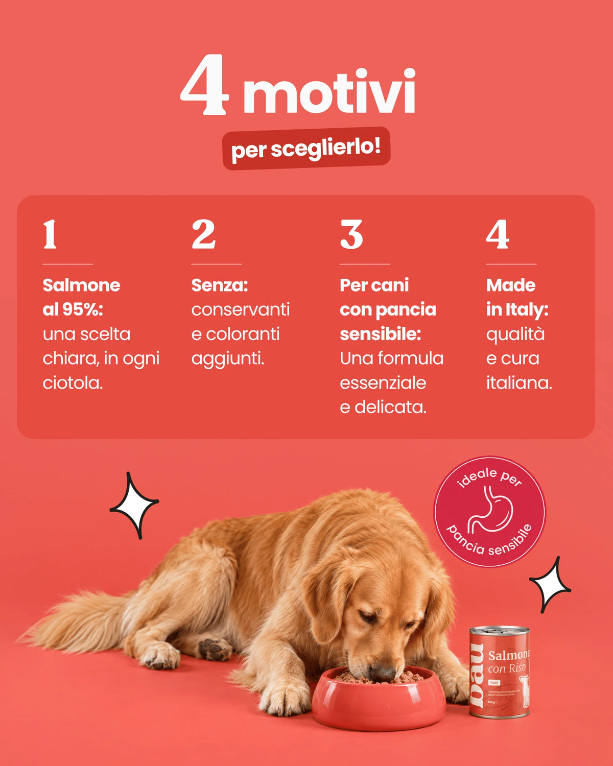 Patè al Salmone per cane adulti