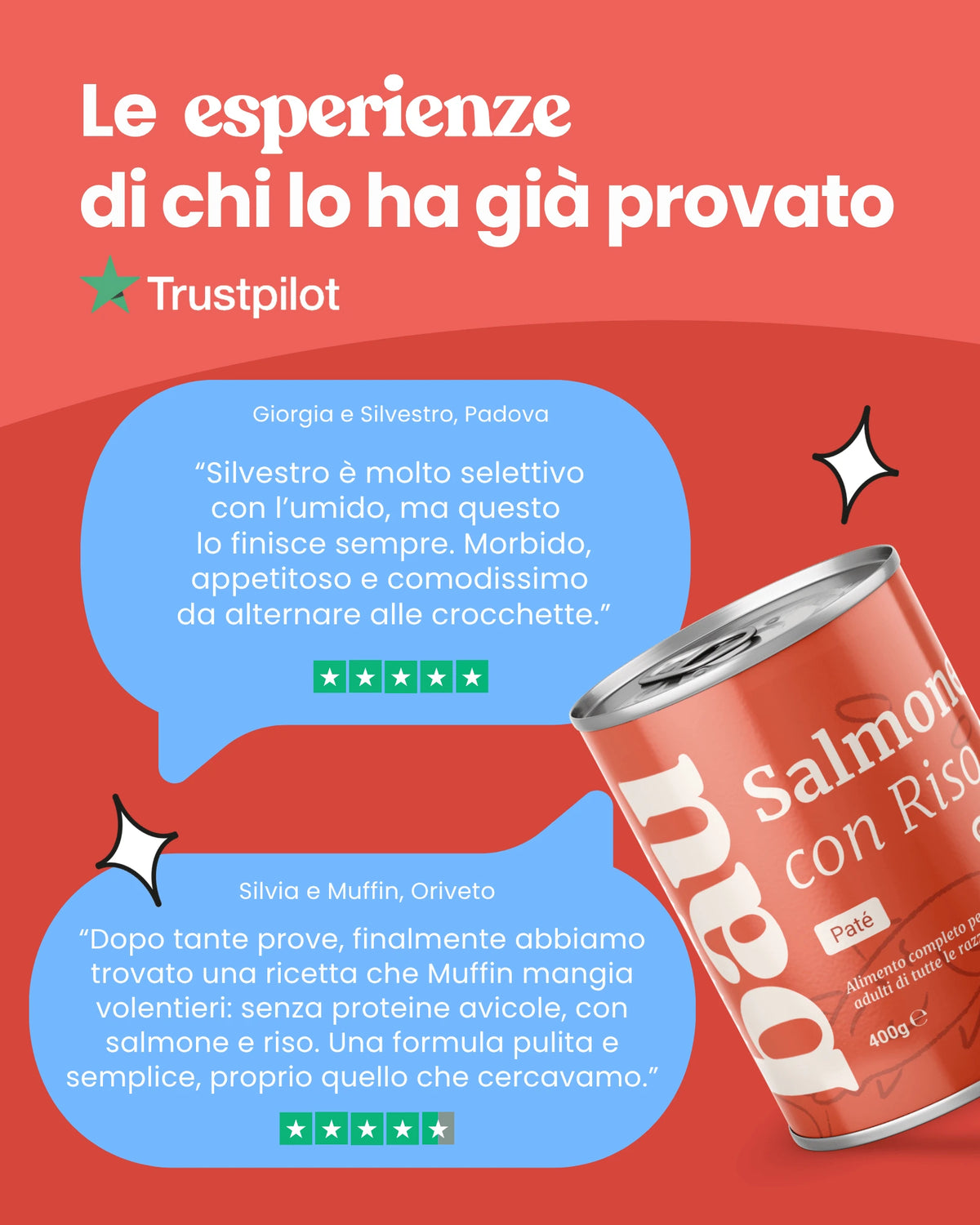 Patè al Salmone per cane adulti
