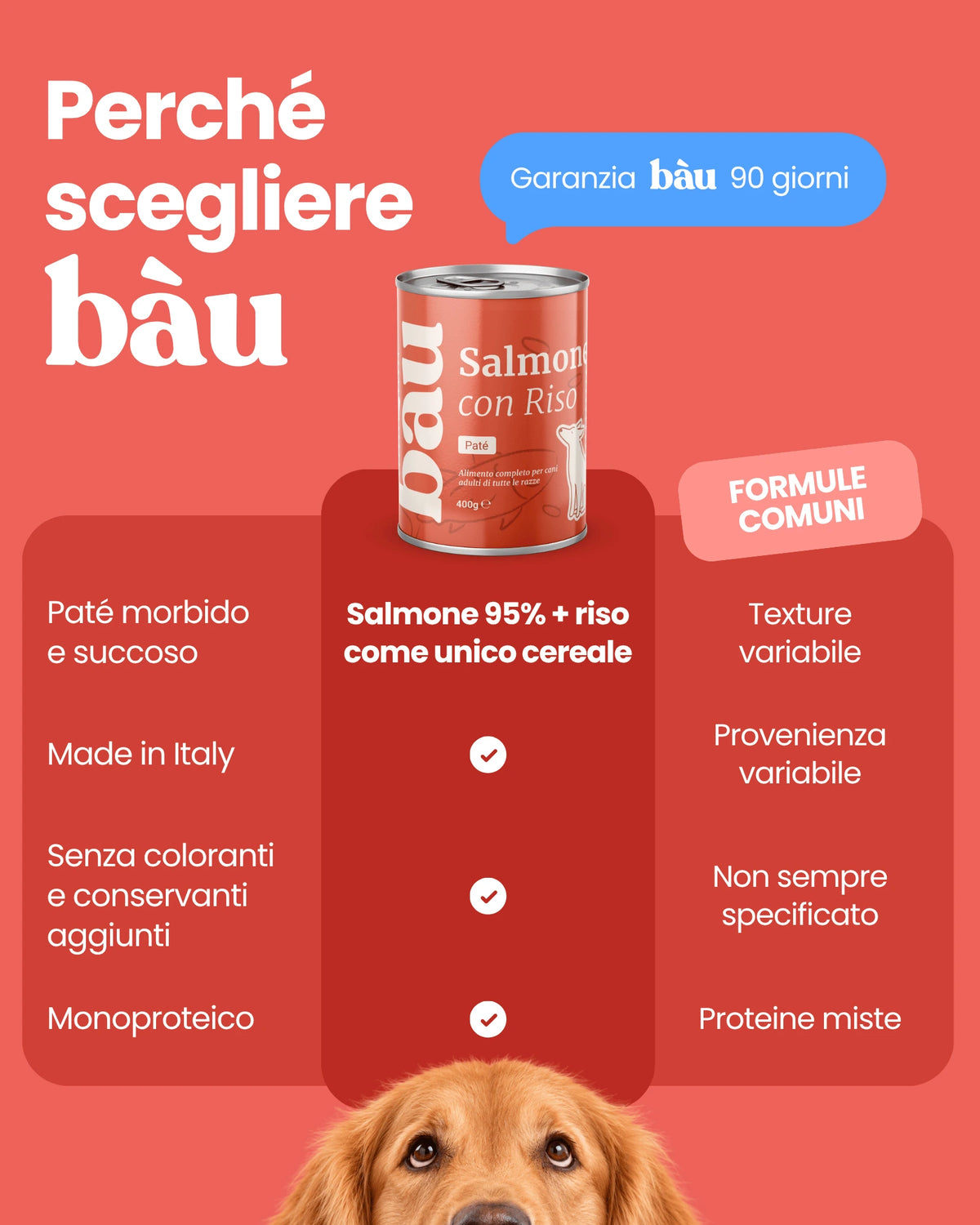 Patè al Salmone per cane adulti