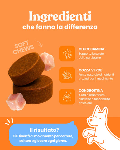 Salti in Alto