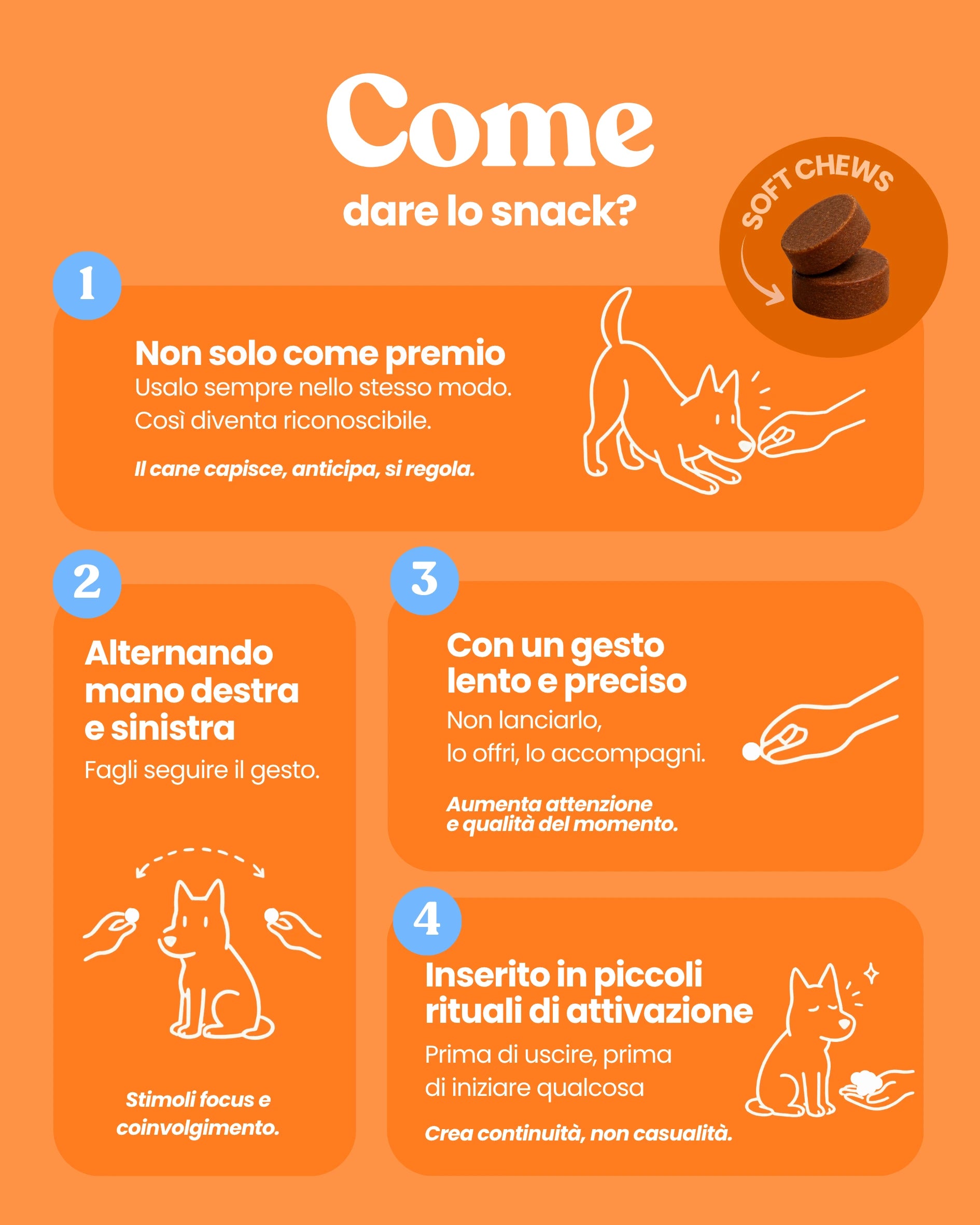 Salti in Alto