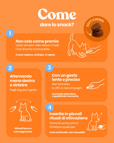 Salti in Alto