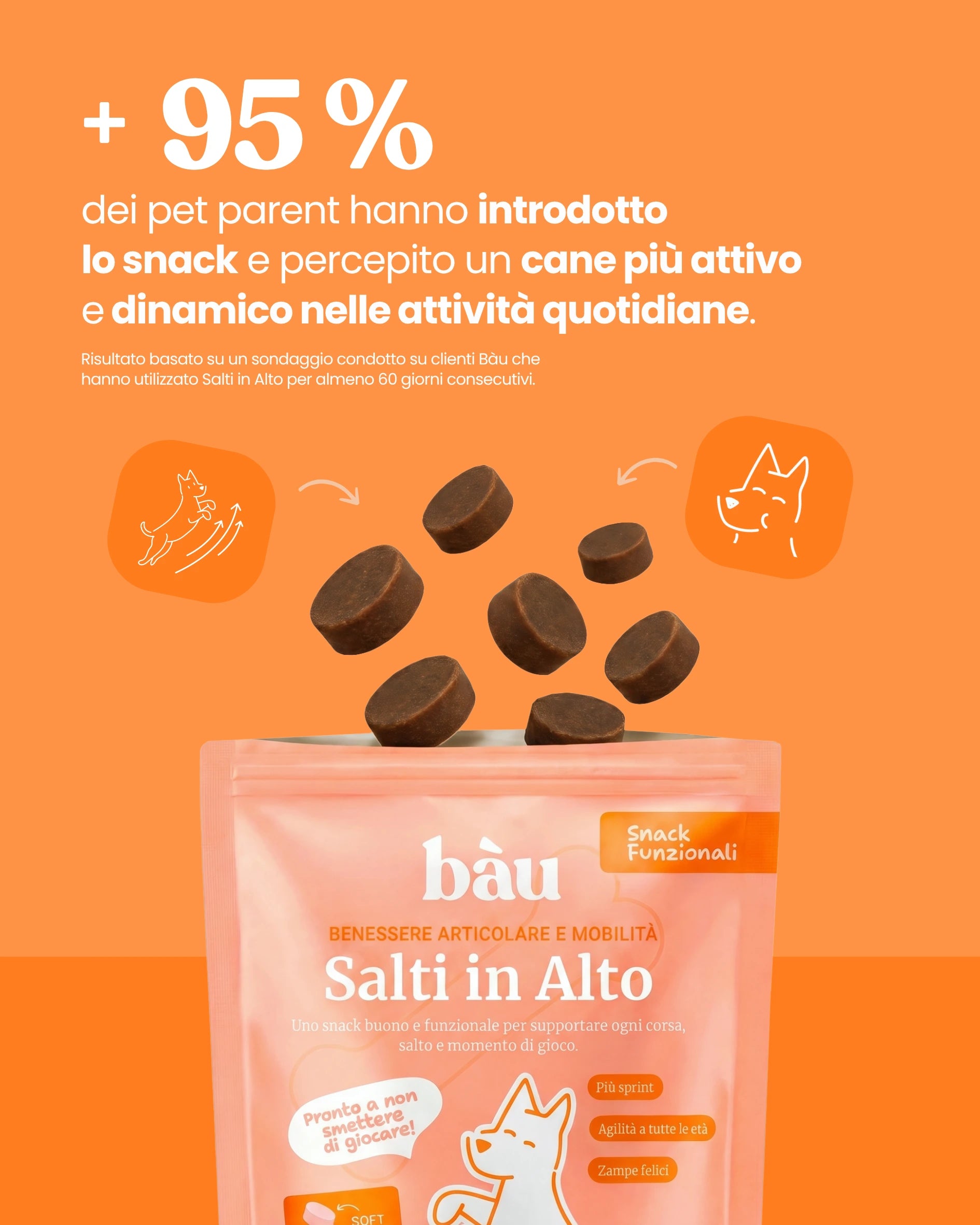 Salti in Alto