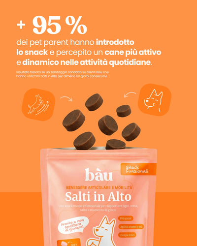 Salti in Alto