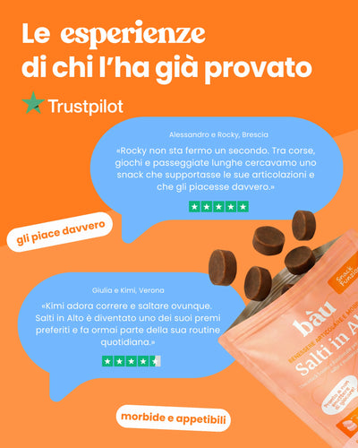 Salti in Alto