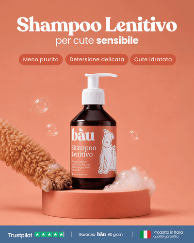 Shampoo Lenitivo
