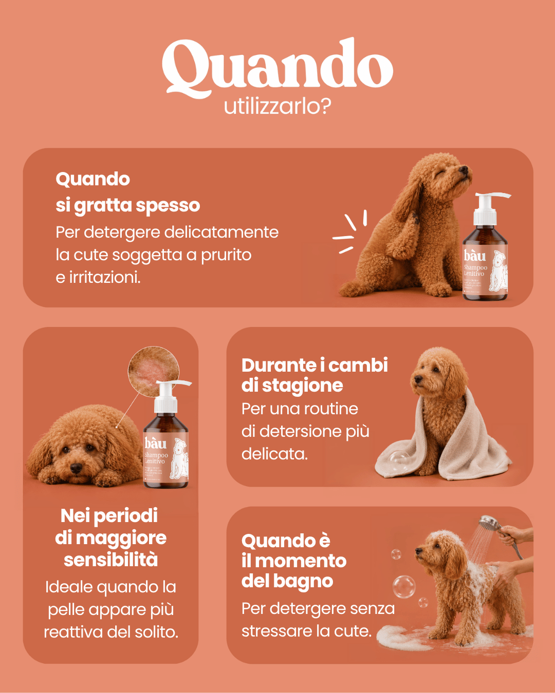 Shampoo Lenitivo
