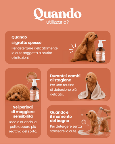 Shampoo Lenitivo