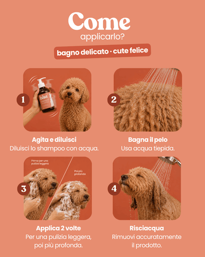Shampoo Lenitivo