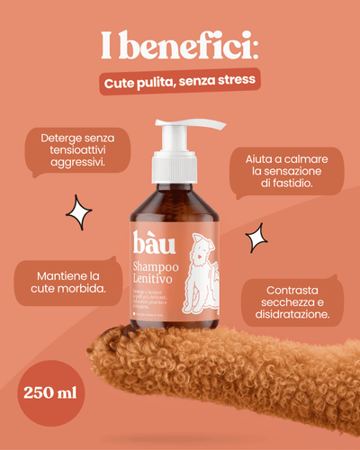 Shampoo Lenitivo