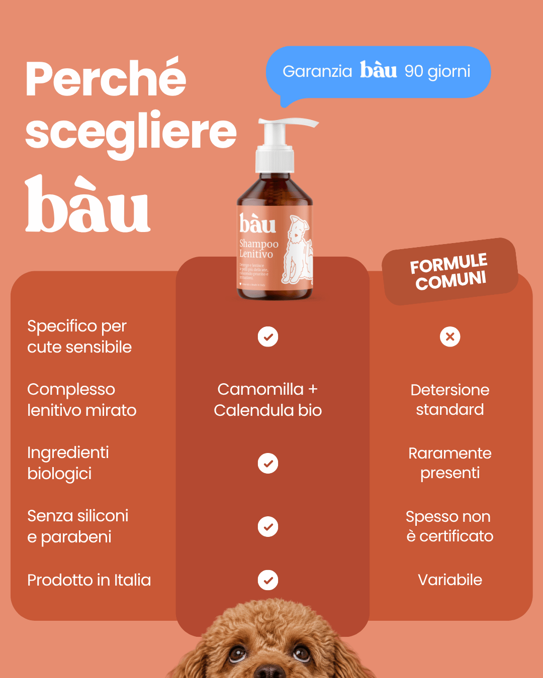 Shampoo Lenitivo