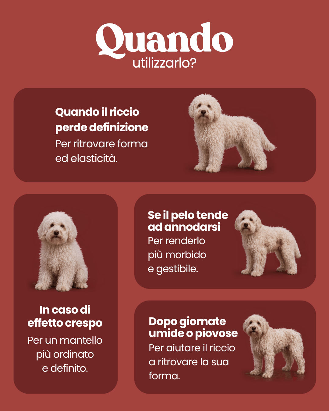 Shampoo Ricci Definiti