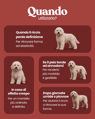 Shampoo Ricci Definiti