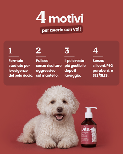 Shampoo Ricci Definiti