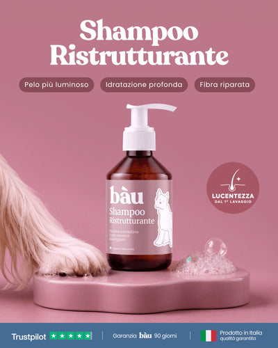 Shampoo Ristrutturante