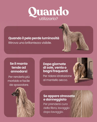 Shampoo Ristrutturante