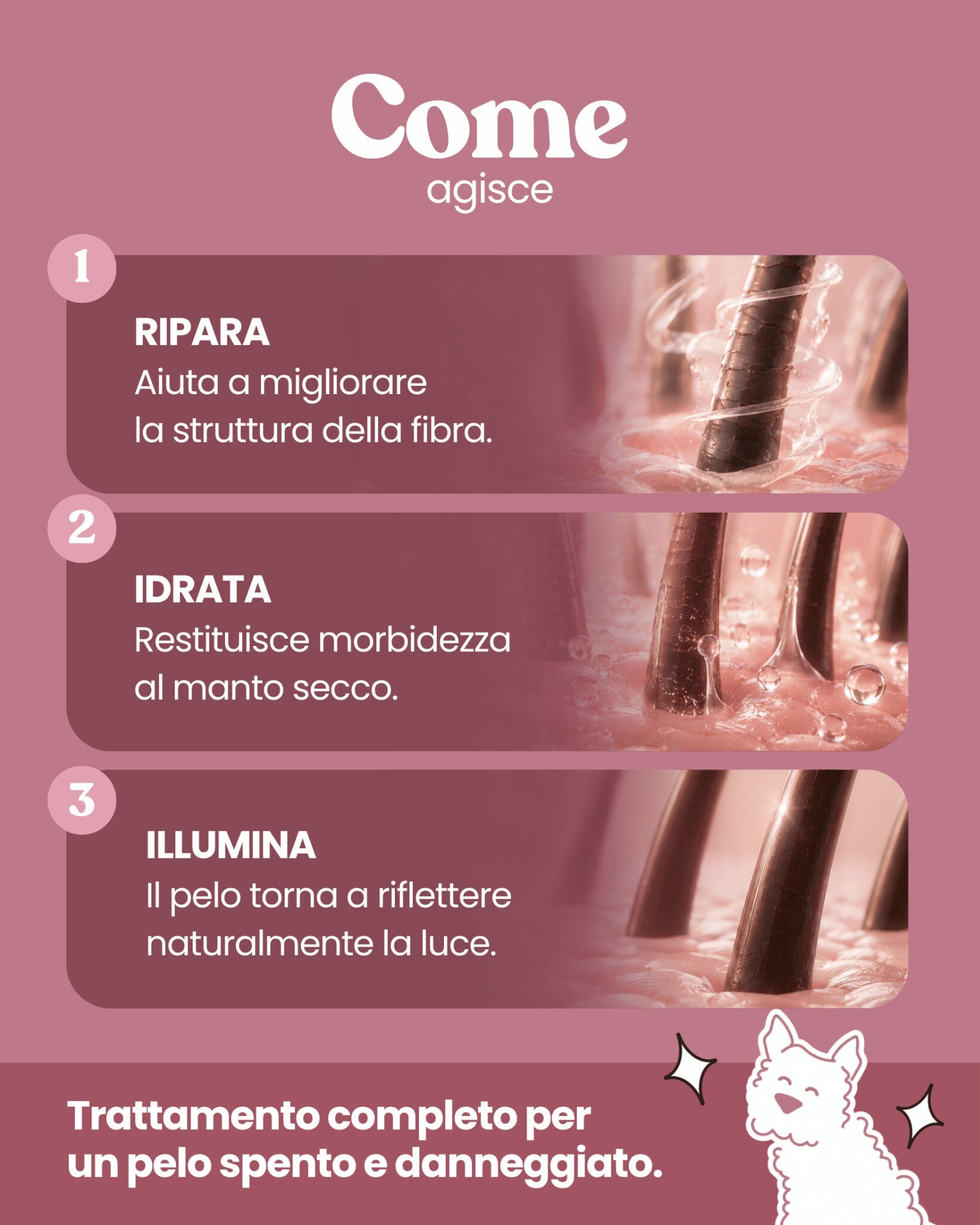 Shampoo Ristrutturante