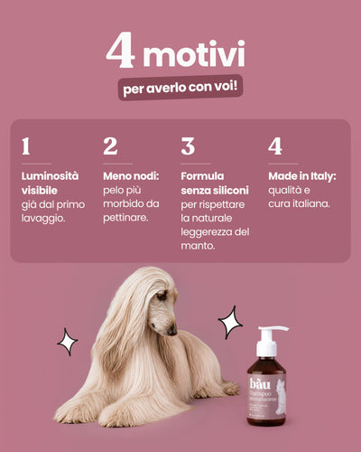 Shampoo Ristrutturante