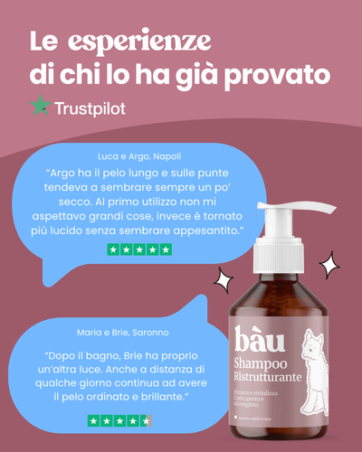 Shampoo Ristrutturante