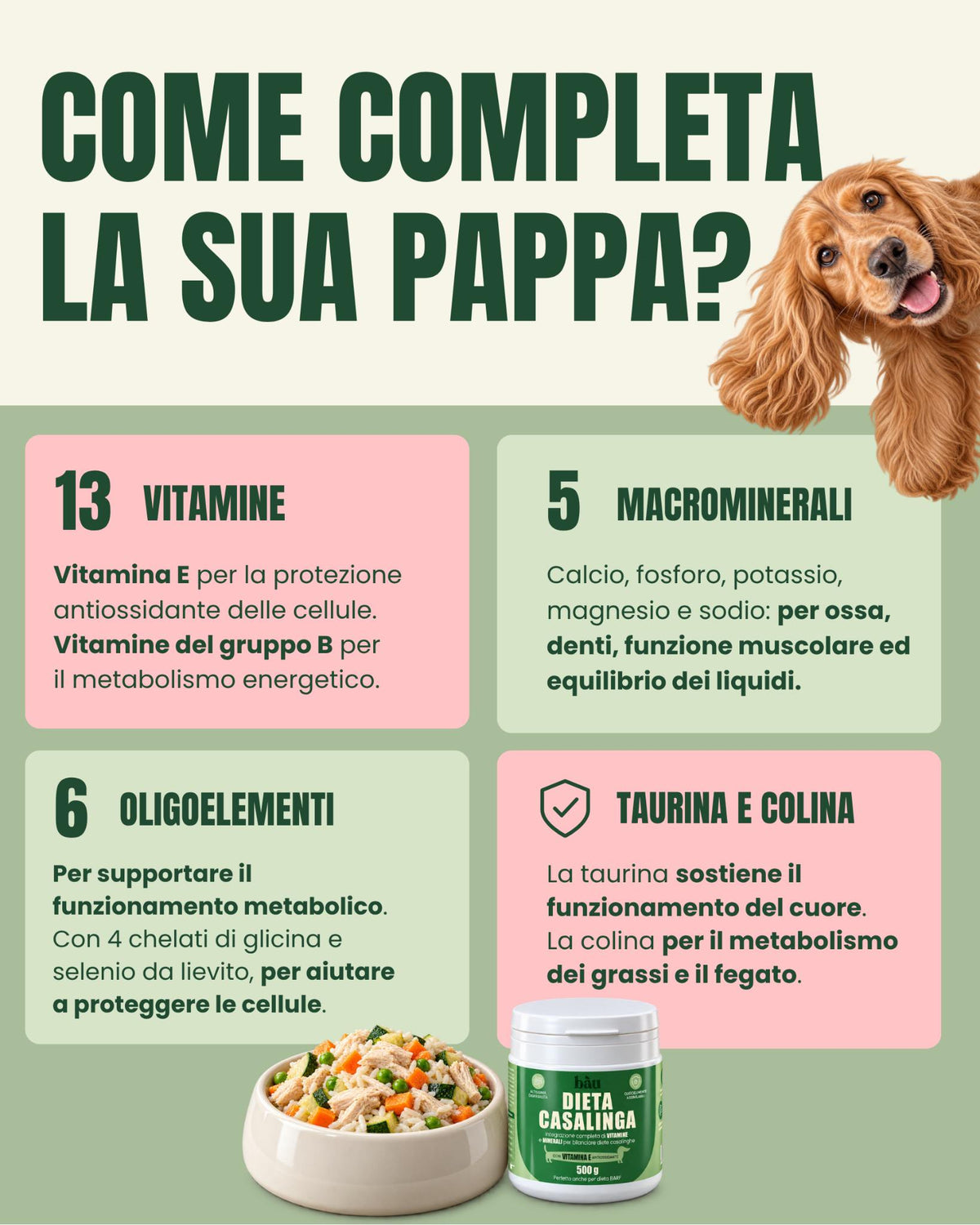 Dieta Casalinga