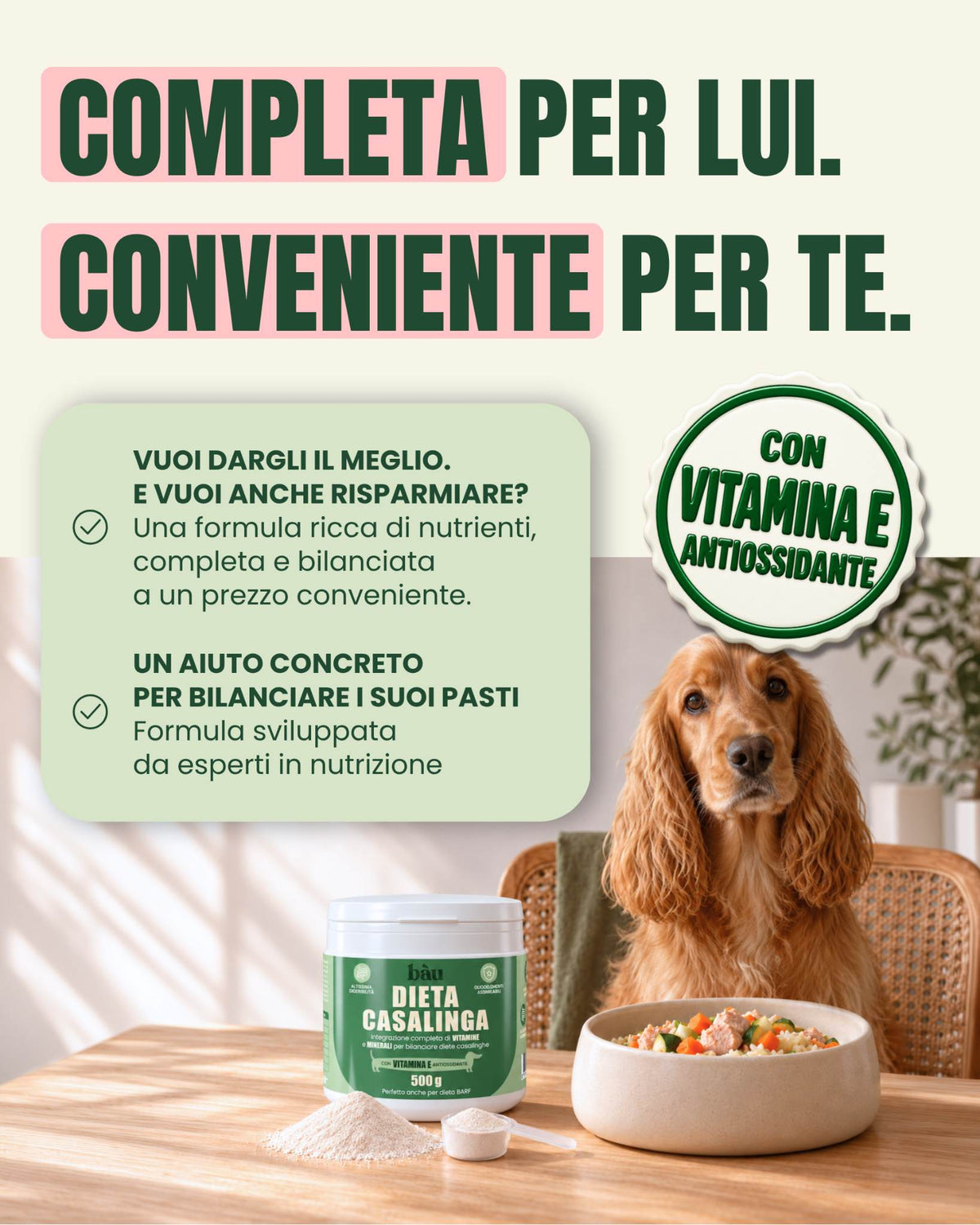 Dieta Casalinga