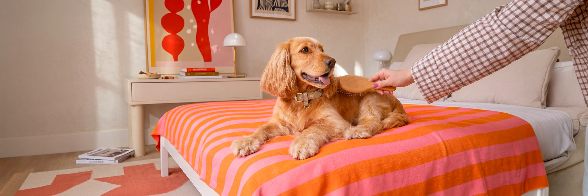 Spazzole Premium per cani e gatti