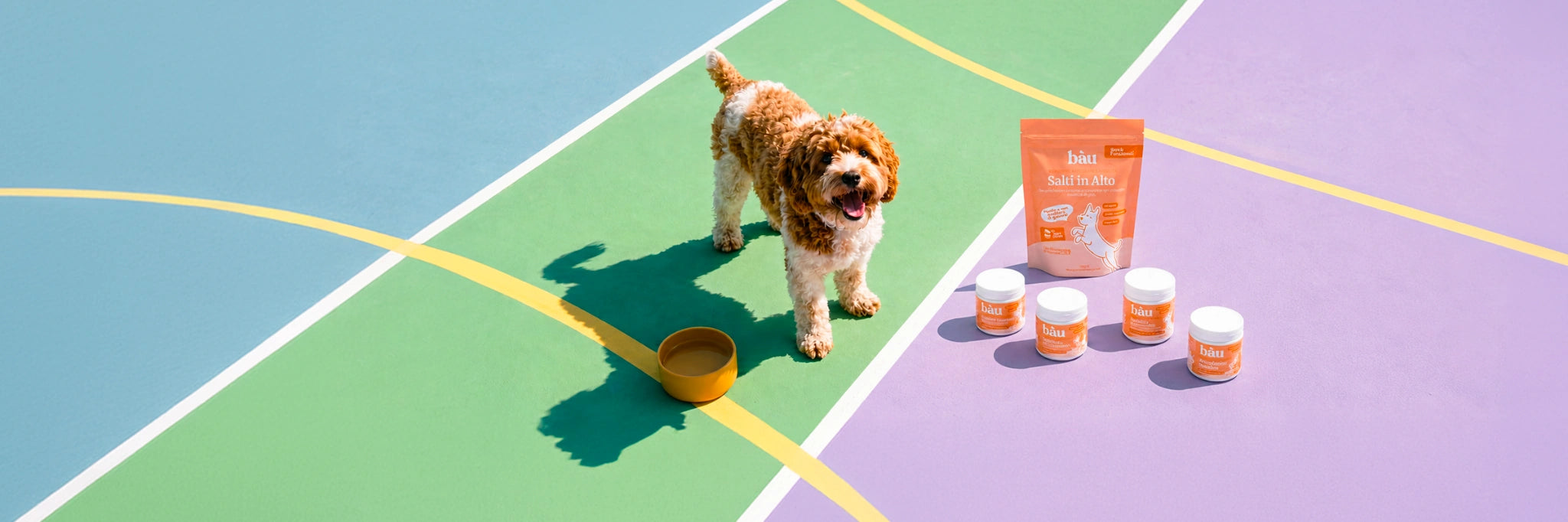 Benessere articolare e mobilità per cani