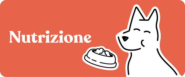 Alimentazione