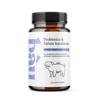 Probióticos y salud intestinal