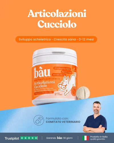 Articolazioni Cucciolo