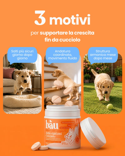 Articolazioni Cucciolo