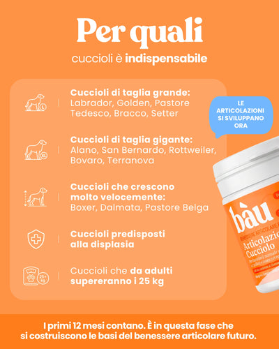 Articolazioni Cucciolo
