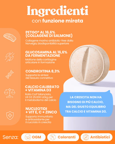 Articolazioni Cucciolo