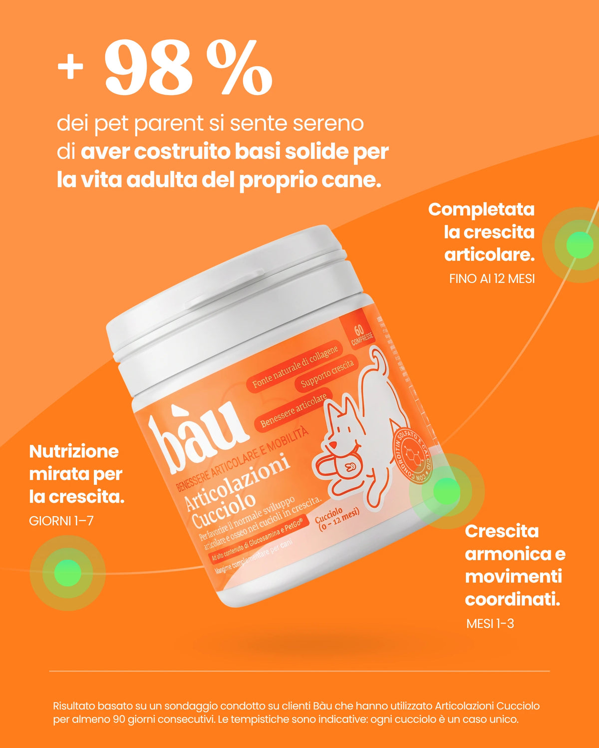 Articolazioni Cucciolo