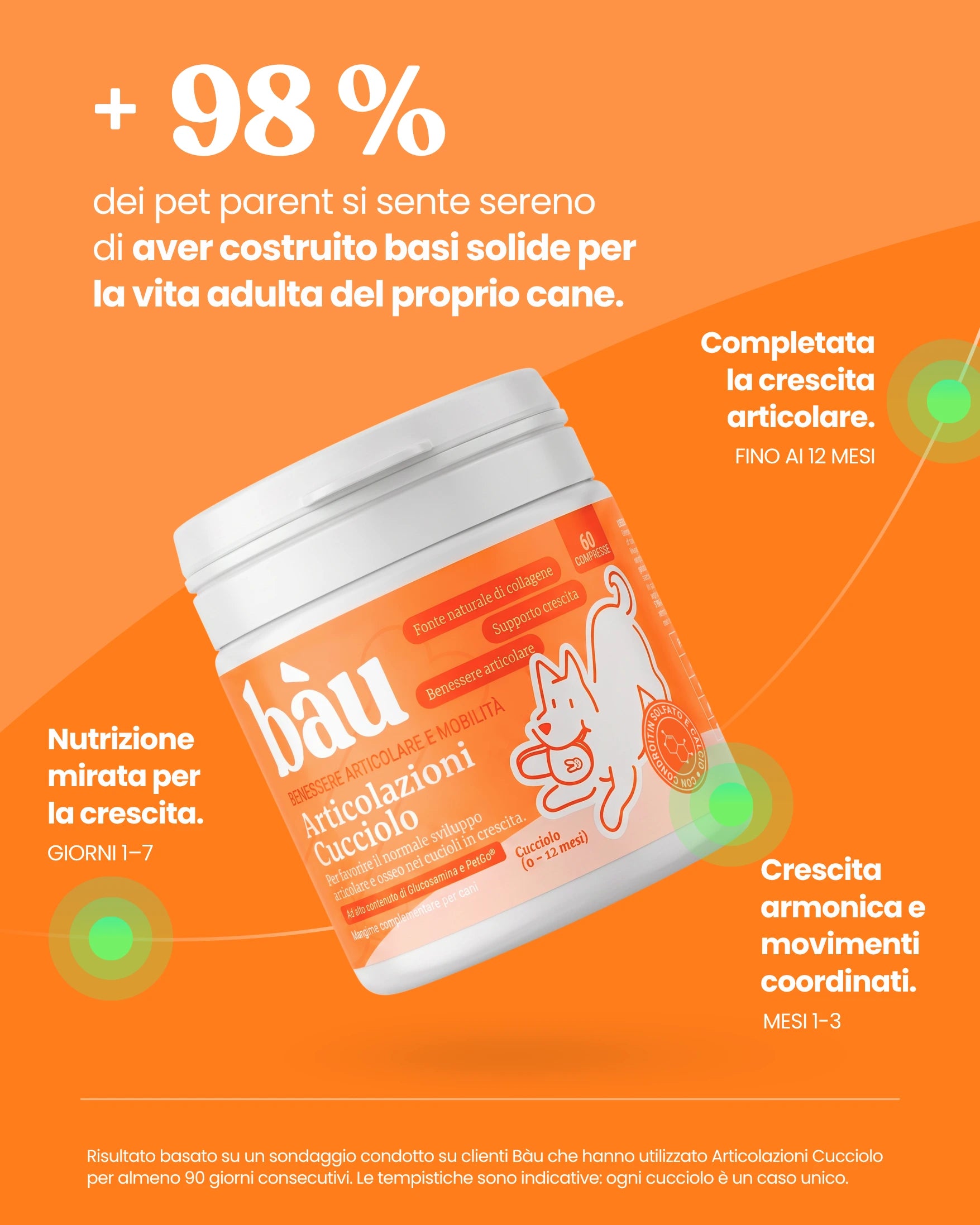 Articolazioni Cucciolo