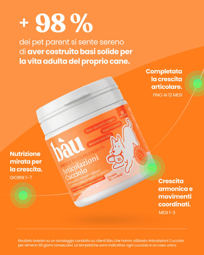 Articolazioni Cucciolo