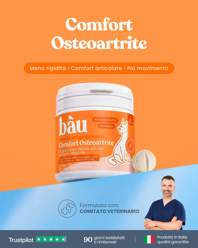 Comfort Osteoartrite