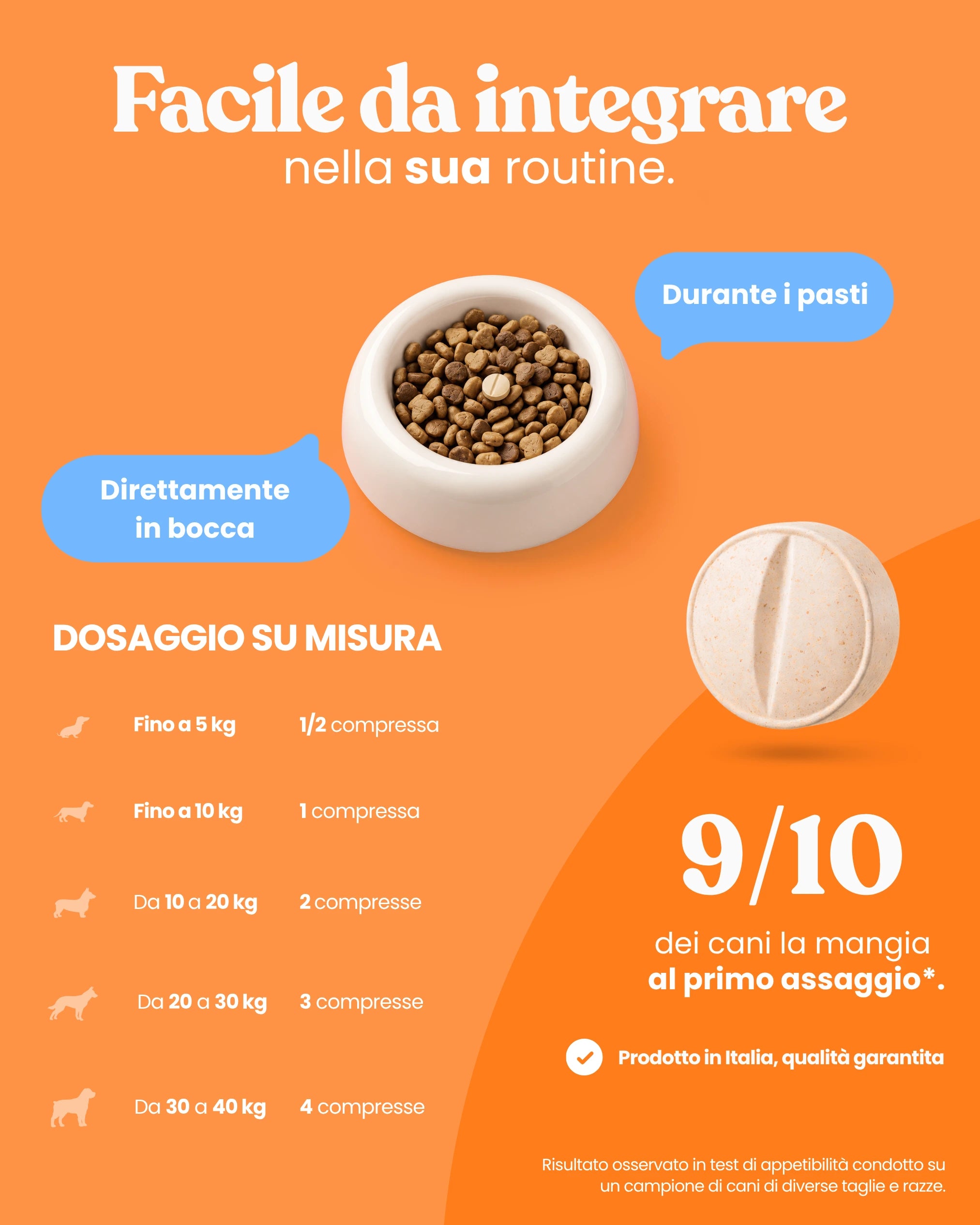 Comfort Osteoartrite