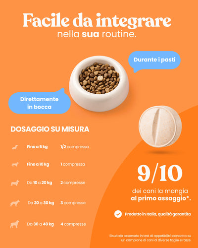 Comfort Osteoartrite