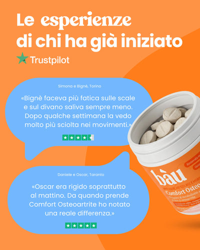 Comfort Osteoartrite