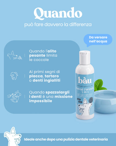 Dental Formula 5 in 1