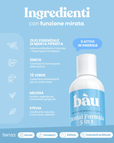 Dental Formula 5 in 1