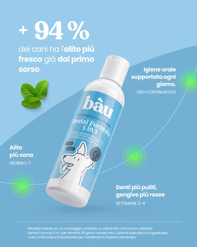 Dental Formula 5 in 1