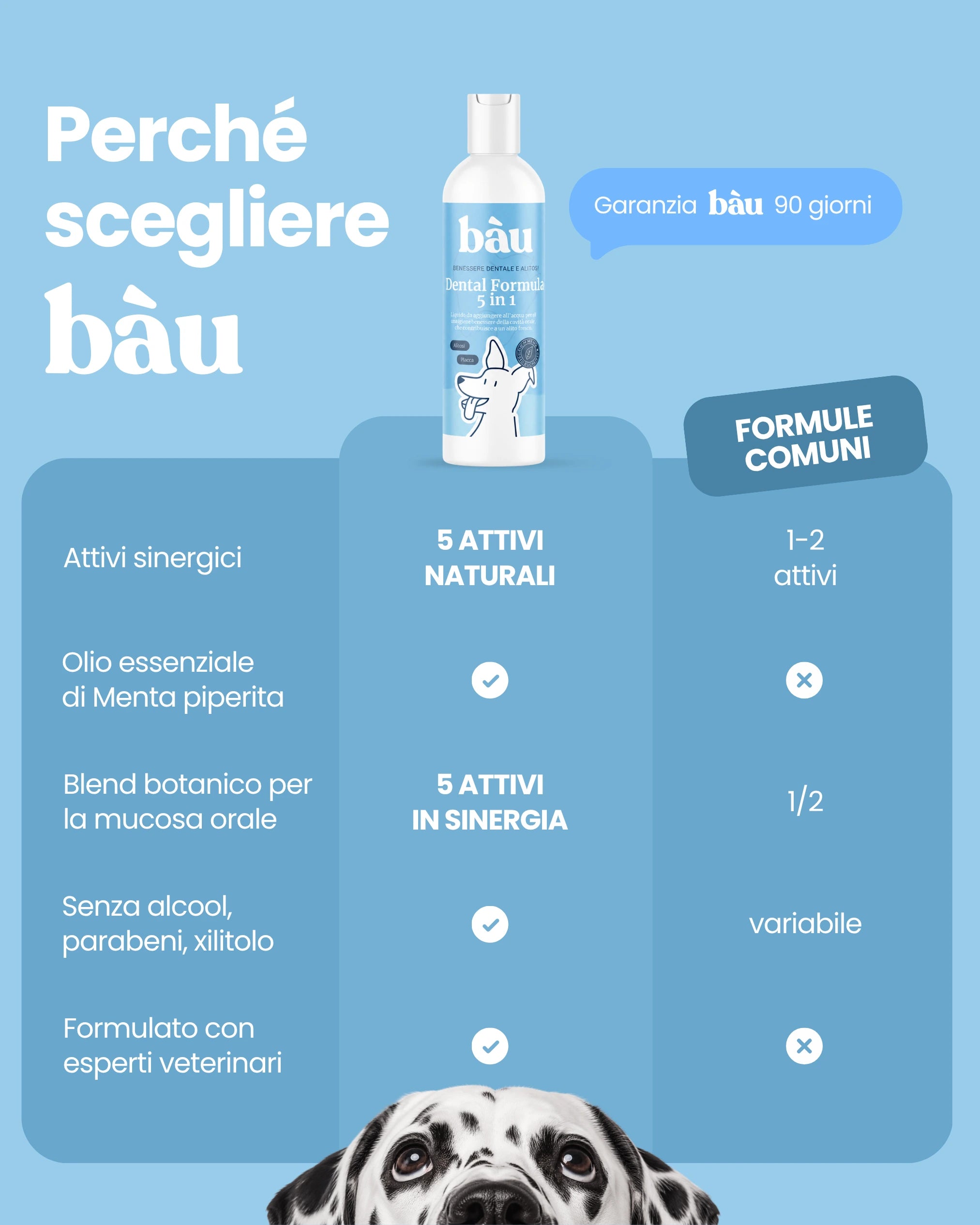 Dental Formula 5 in 1